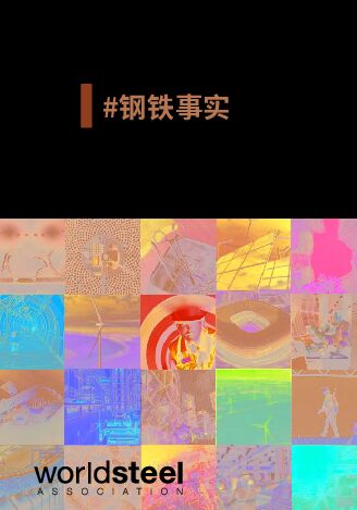 2024钢铁：为世界添彩.pdf