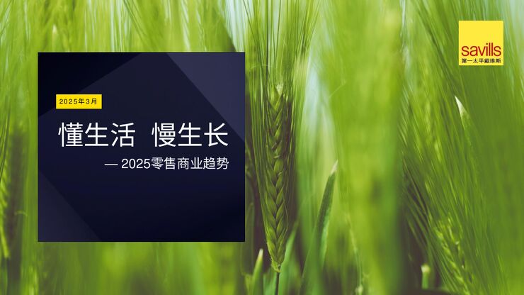 懂生活 慢生长——2025零售商业趋势-第一太平戴维斯-202503.pdf