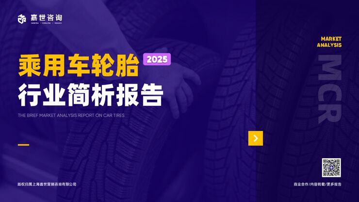 2025乘用车轮胎行业简析报告.pdf 2025乘用车轮胎行业简析报告.pdf