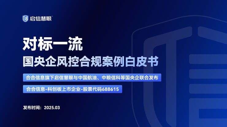 对标一流-2025年国央企风控合规案例白皮书.pdf 对标一流-2025年国央企风控合规案例白皮书.pdf
