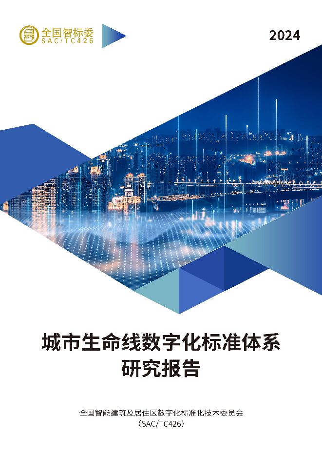 2025城市生命线数字化标准体系研究报告.pdf 2025城市生命线数字化标准体系研究报告.pdf