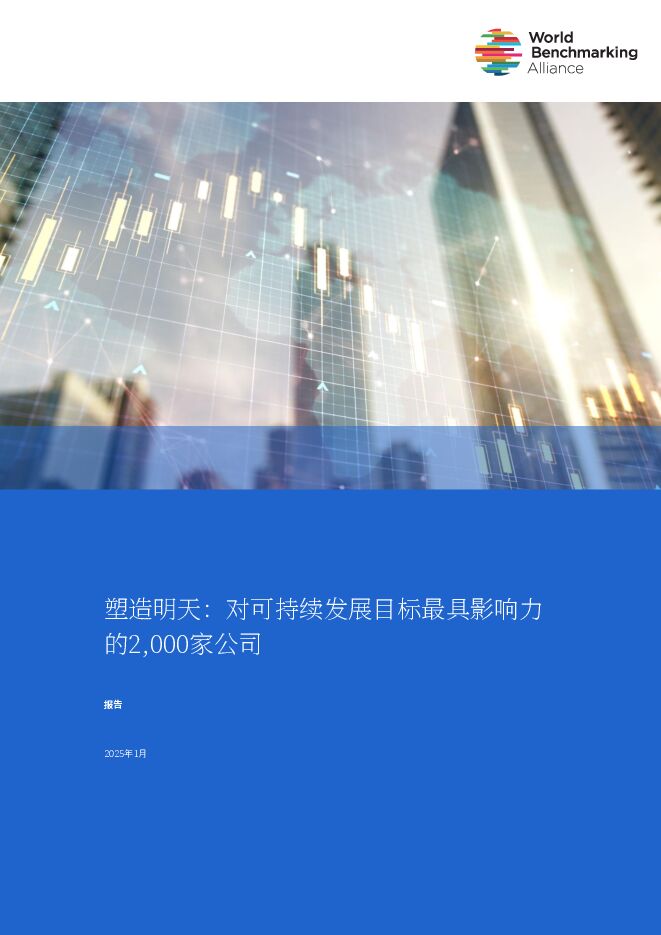2025塑造未来:对可持续发展目标(SDGs)影响最大的2000家公司研究报告.pdf 2025塑造未来:对可持续发展目标(SDGs)影响最大的2000家公司研究报告.pdf