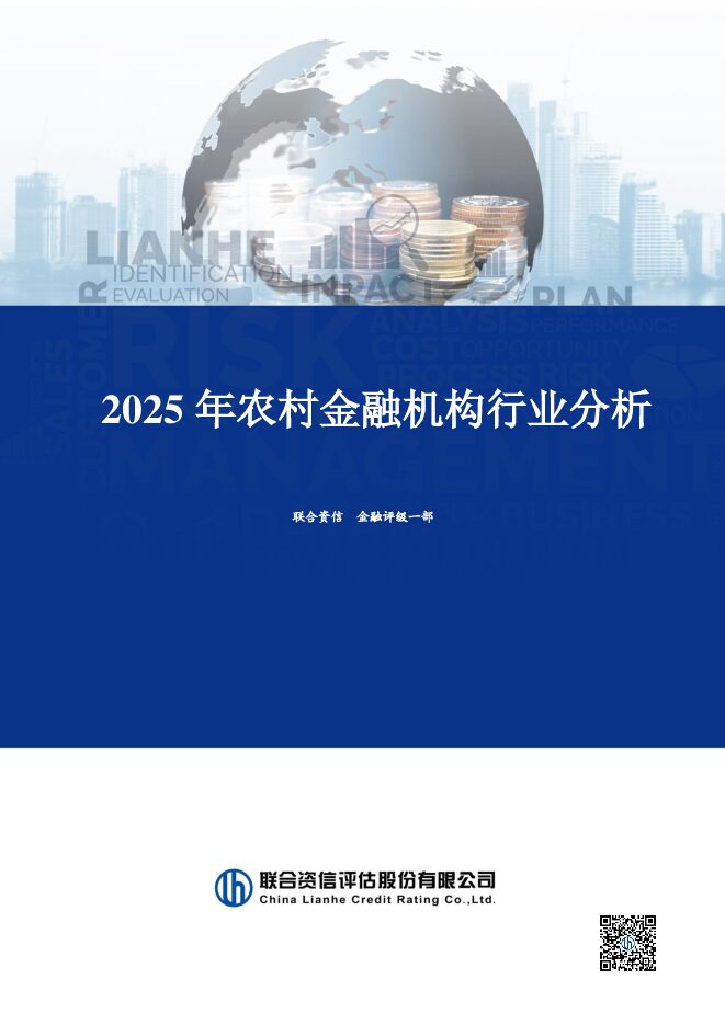 2025年农村金融机构行业分析.pdf 2025年农村金融机构行业分析.pdf