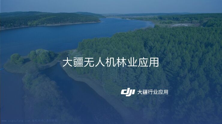 智慧林业无人机解决方案.pdf