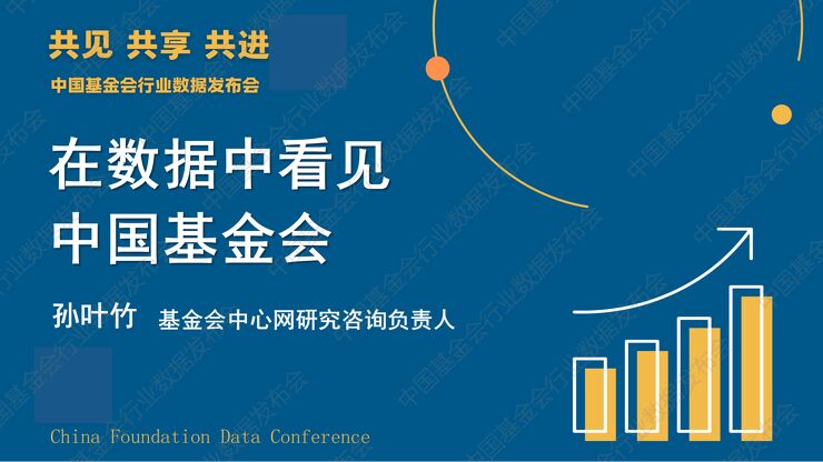 在数据中看见中国基金会.pdf 在数据中看见中国基金会.pdf