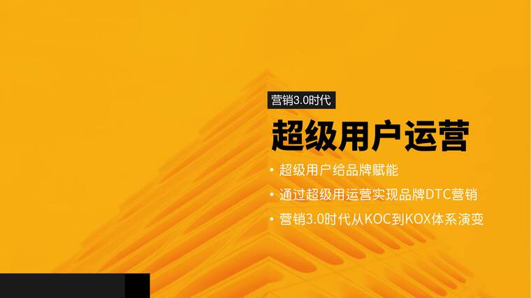 营销3.0时代:超级用户运营——从KOC到KOX.pdf 营销3.0时代:超级用户运营——从KOC到KOX.pdf