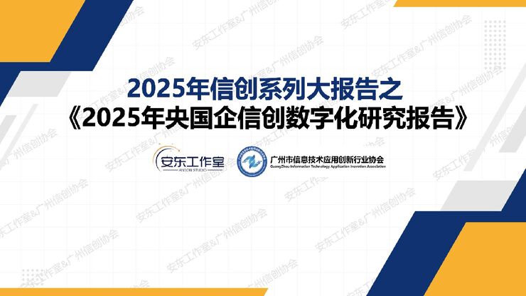 2025年央国企信创数字化研究报告.pdf