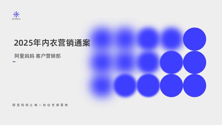 2025年内衣营销通案.pdf 2025年内衣营销通案.pdf