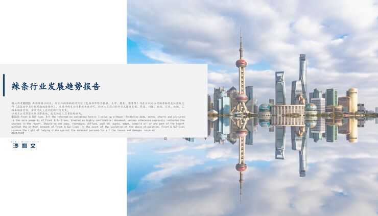 2025年辣条行业发展趋势报告.pdf 2025年辣条行业发展趋势报告.pdf