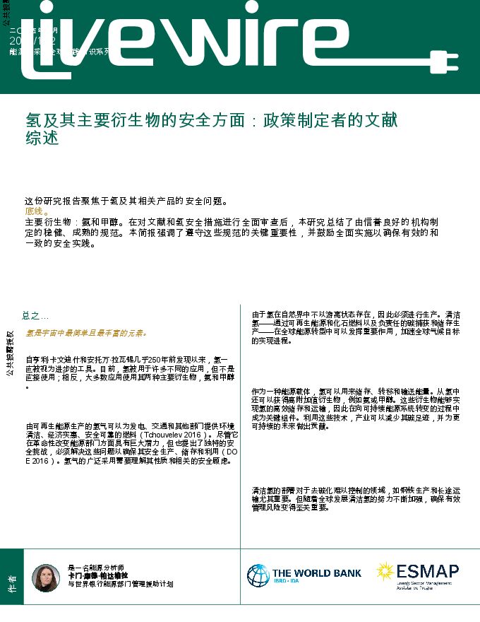 氢及其主要衍生物的安全方面:政策制定者的文献综述.pdf 氢及其主要衍生物的安全方面:政策制定者的文献综述.pdf