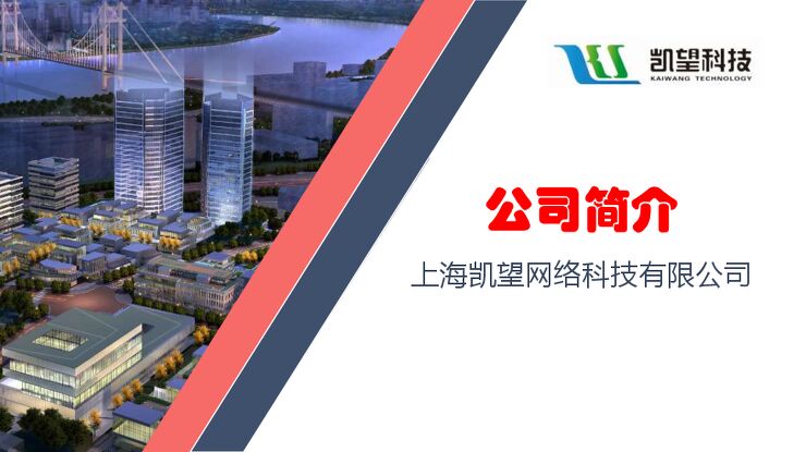 智慧养老方案介绍.pdf 智慧养老方案介绍.pdf