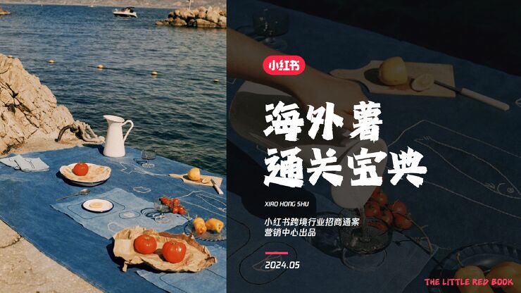 小红书-海外薯通关宝典招商.pdf 小红书-海外薯通关宝典招商.pdf