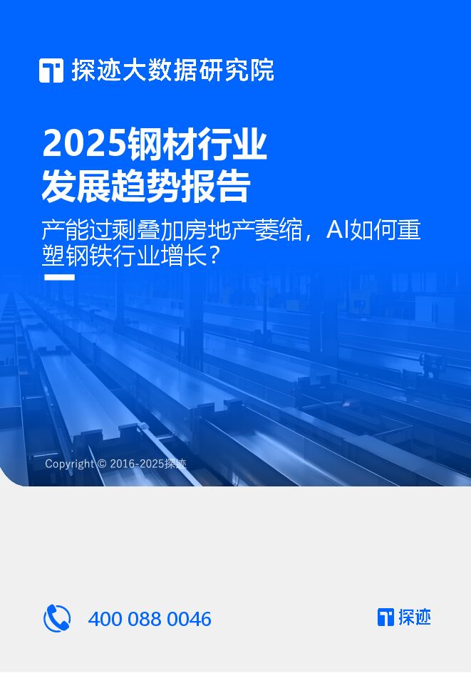 2025年钢材行业发展趋势报告.pdf 2025年钢材行业发展趋势报告.pdf