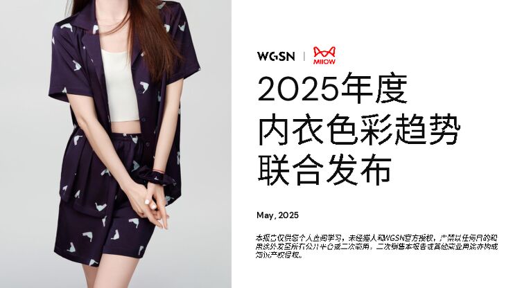 2025年度内衣色彩趋势.pdf