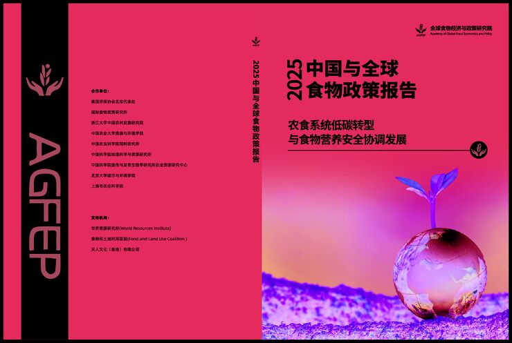 2025中国与全球食物政策报告.pdf 2025中国与全球食物政策报告.pdf