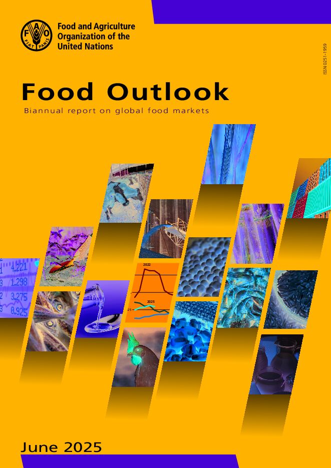 2025年全球粮食市场展望报告.pdf