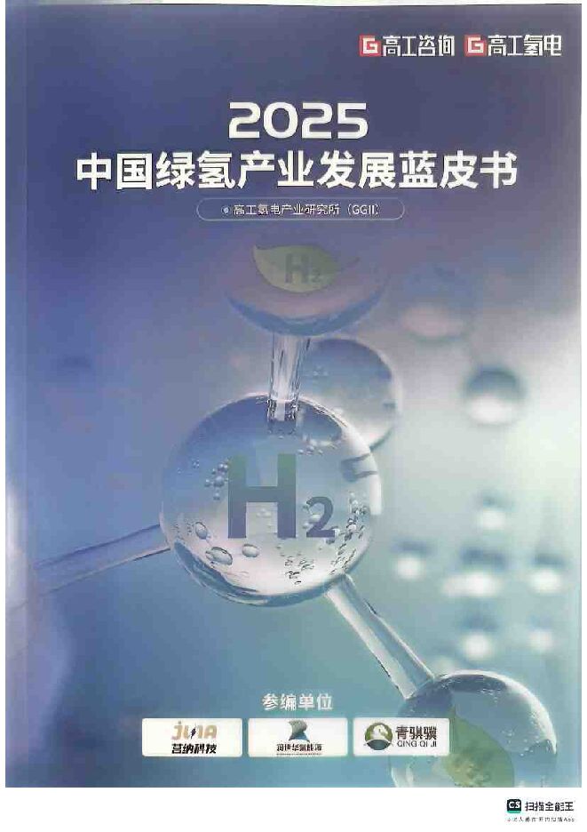 2025中国绿氢产业发展蓝皮书-84p.pdf 2025中国绿氢产业发展蓝皮书-84p.pdf