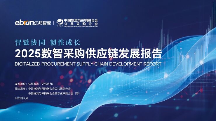 2025数智采购供应链发展报告.pdf 2025数智采购供应链发展报告.pdf