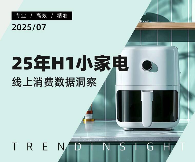 25年H1小家电线上消费数据洞察-炼丹炉-202507.pdf 25年H1小家电线上消费数据洞察-炼丹炉-202507.pdf