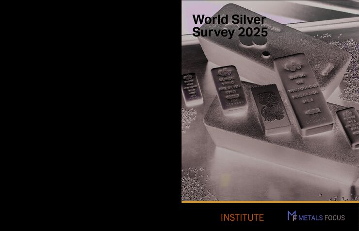 2025年世界白银调查.pdf 2025年世界白银调查.pdf