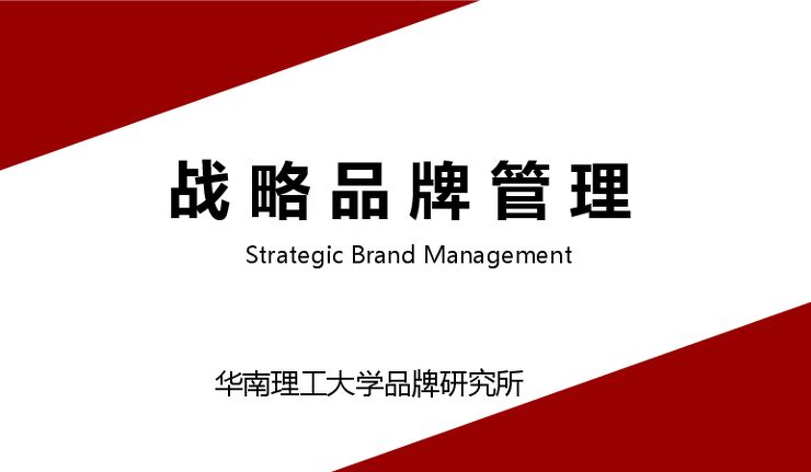 战略品牌管理 华南理工大学品牌研究所.pdf 战略品牌管理 华南理工大学品牌研究所.pdf