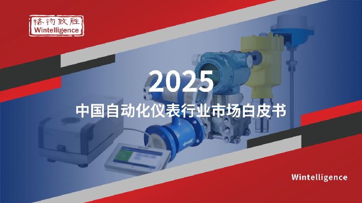 2025中国自动化仪表行业市场白皮书.pdf