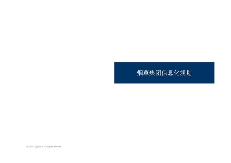 烟草集团信息化IT规划咨询报告.pdf