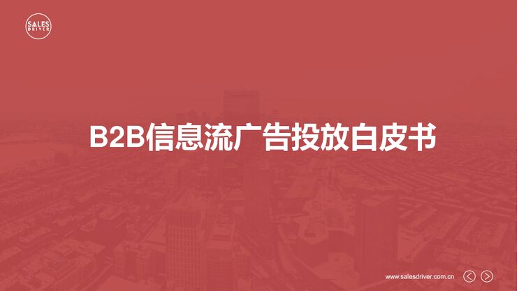 B2B信息流广告投放白皮书.pdf