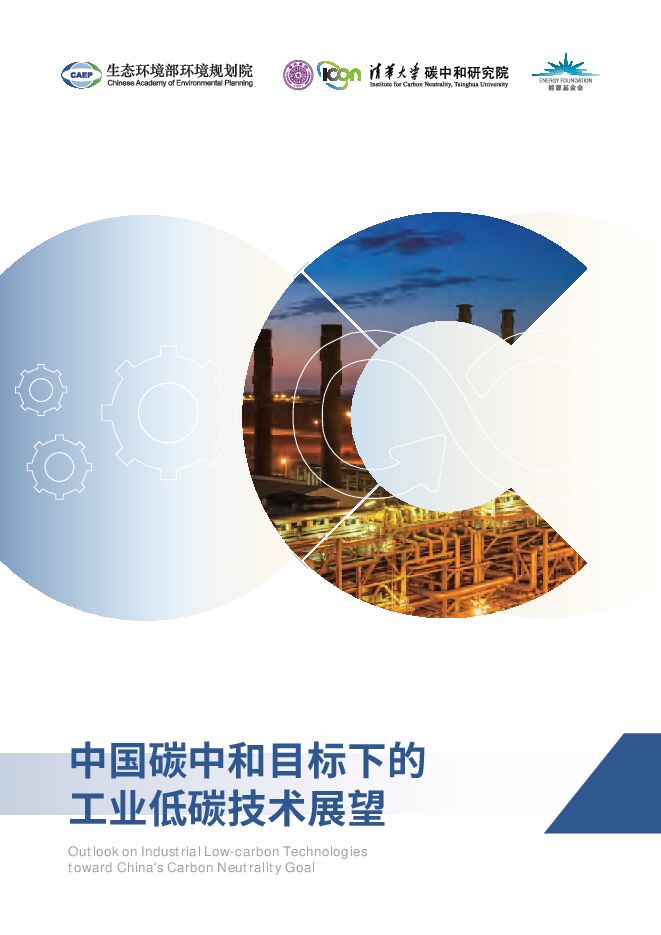 2025中国碳中和目标下的工业低碳技术展望报告.pdf