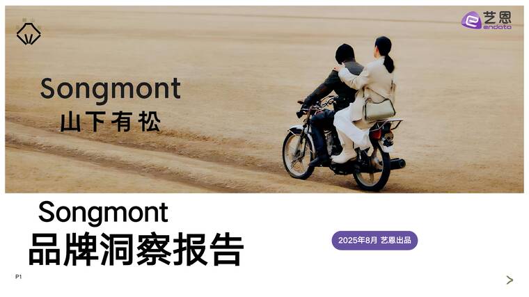 山下有松品牌洞察报告-艺恩-202508.pdf