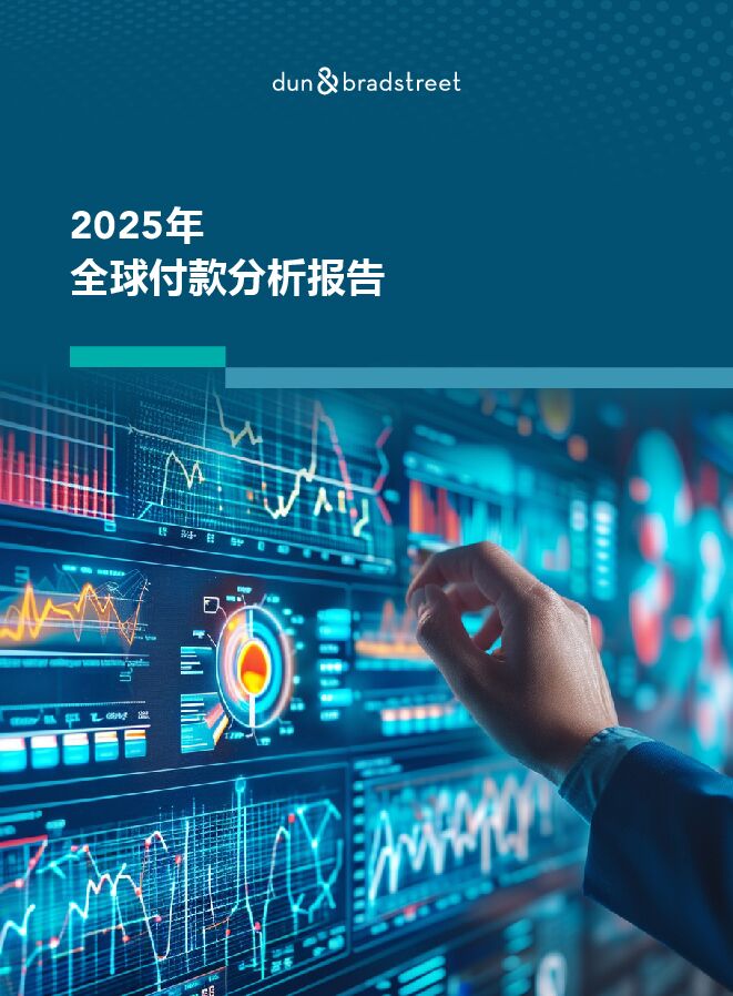 2025年全球付款分析报告.pdf 2025年全球付款分析报告.pdf