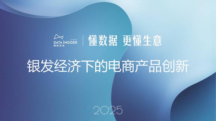 2025银发经济下的电商产品创新-解数咨询-202508.pdf
