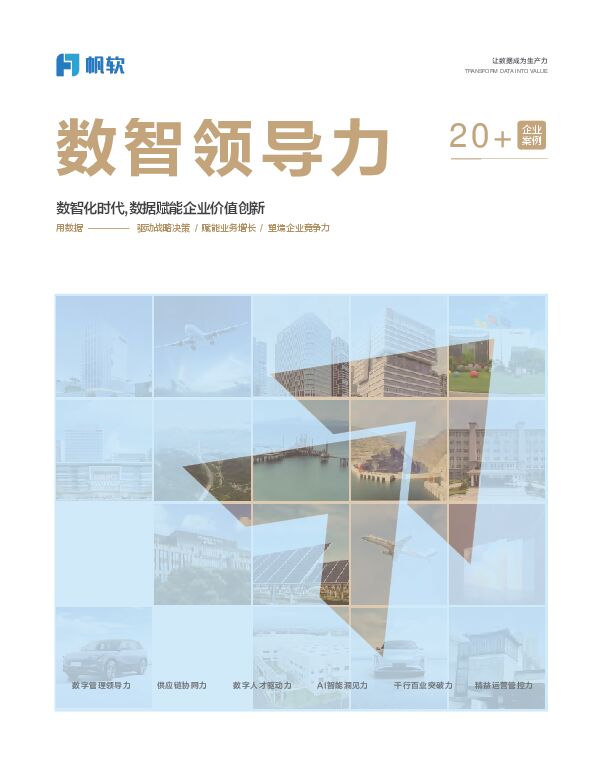 2025年数智领导力案例集.pdf 2025年数智领导力案例集.pdf