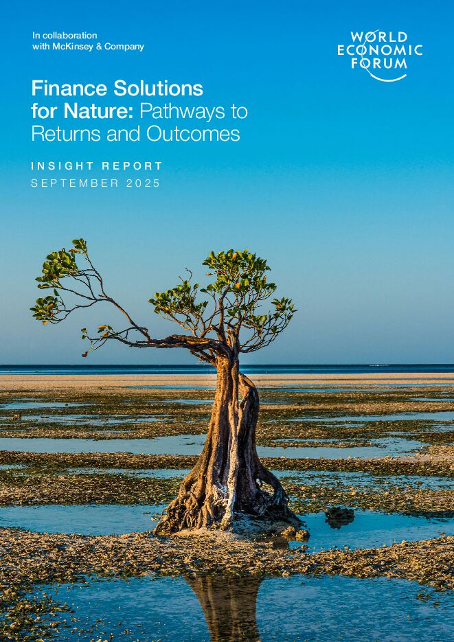 WEF_Finance_Solutions_for_Nature_2025.pdf