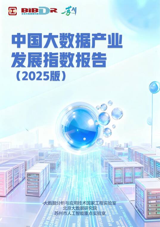中国大数据产业发展指数报告（2025版）-北京大数据研究院-202509.pdf