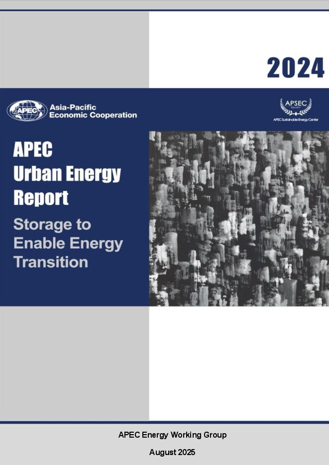 2024年城市能源报告.pdf