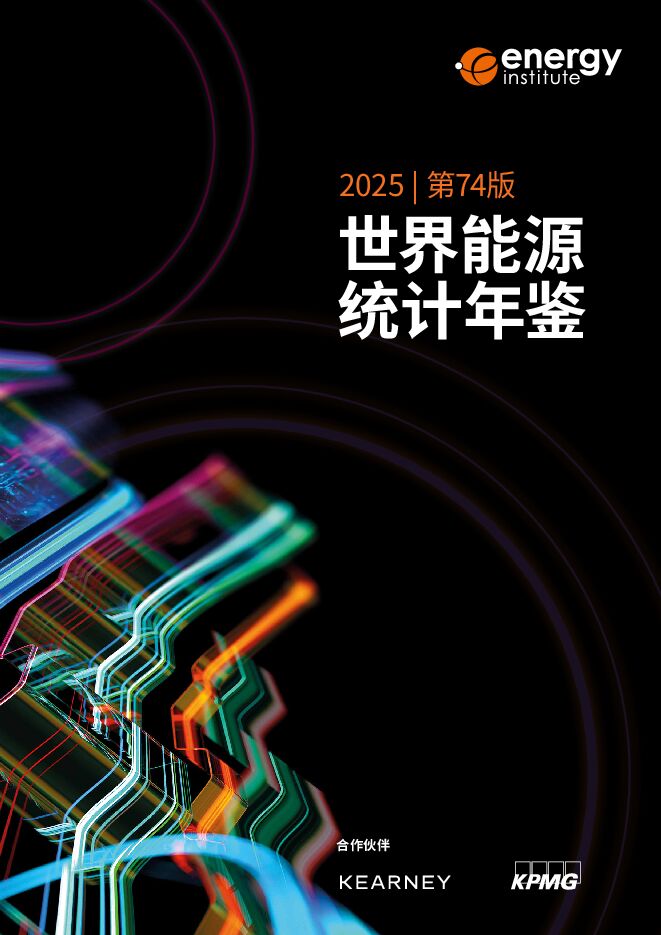 世界能源统计年鉴2025.pdf 世界能源统计年鉴2025.pdf
