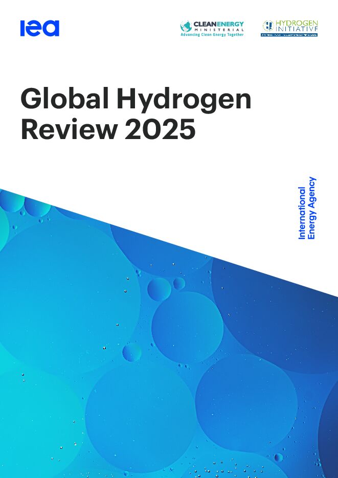 2025年全球氢报告.pdf 2025年全球氢报告.pdf