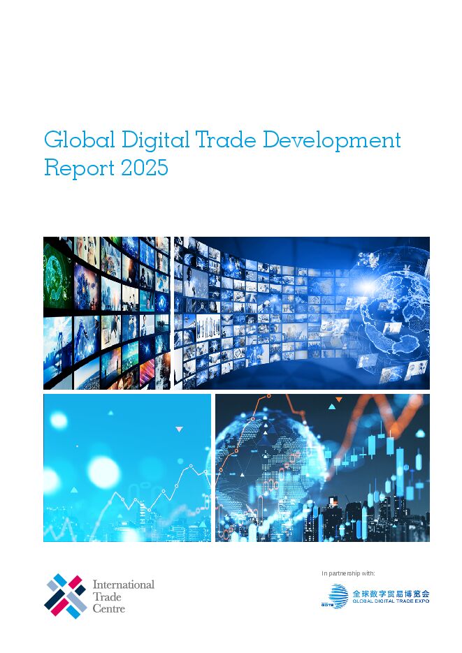 Global Digital Trade Development Report 2025(全球数字贸易发展报告).pdf