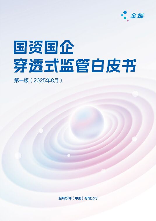 2025国资国企穿透式监管白皮书.pdf