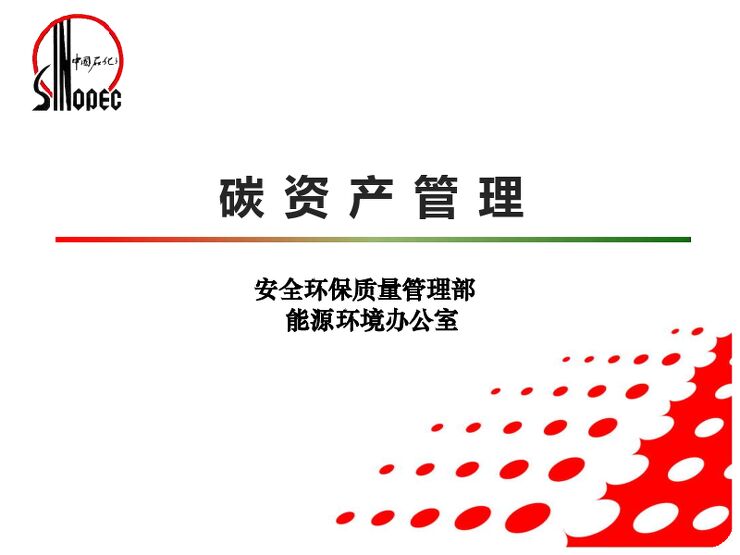 中国石化碳资产管理.pdf 中国石化碳资产管理.pdf
