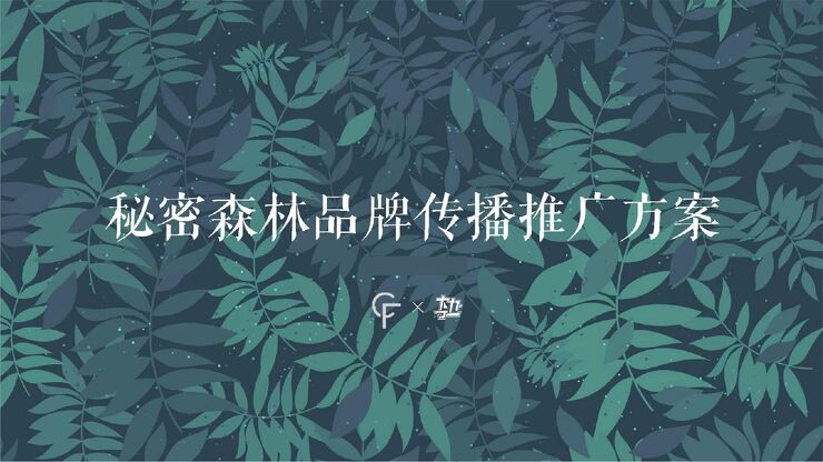 秘密森林内衣品牌推广方案.pdf