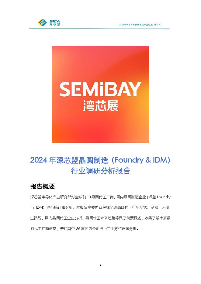 2024年晶圆制造（FoundryIDM）行业调研分析报告.pdf