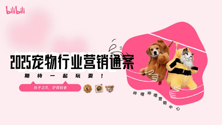 2025宠物行业营销方案B站生态洞察与人群分析.pdf