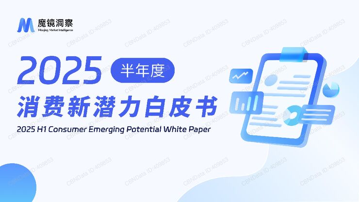 2025半年度消费新潜力白皮书-魔镜洞察.pdf