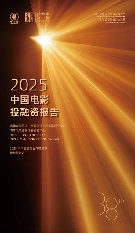 2025年中国电影投融资报告-清华大学-202511.pdf