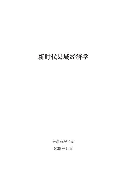 2025新时代县域经济学研究报告-新华社-202511.pdf