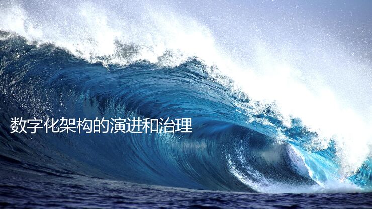 数字化架构演进和治理.pdf