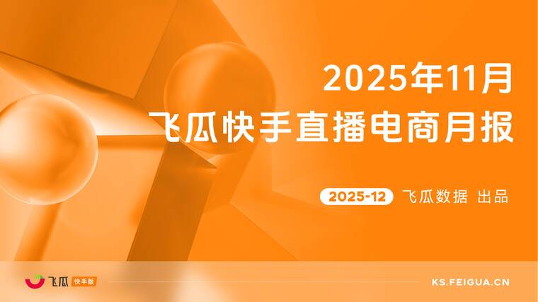 2025年11月飞瓜快手直播电商月报-飞瓜数据-202512.pdf
