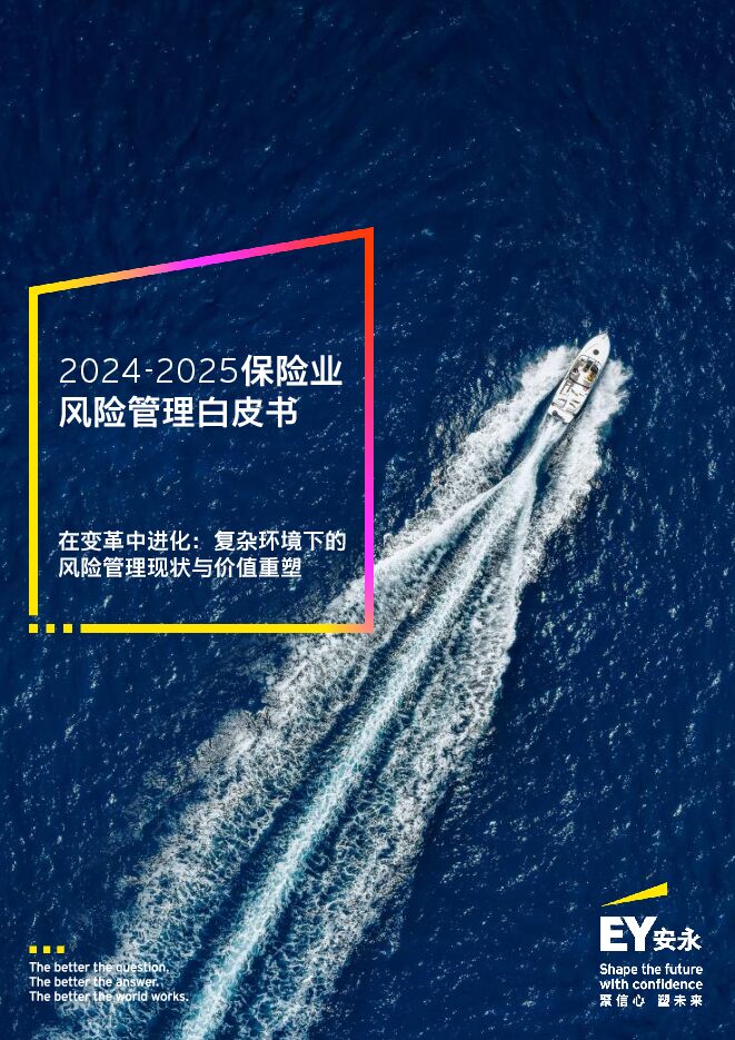 2024-2025保险业风险管理白皮书.pdf